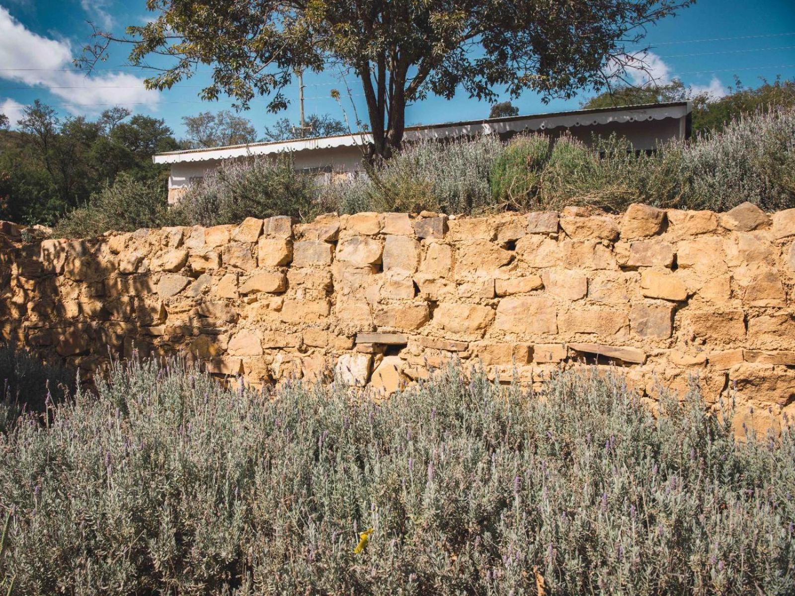 Riverbed Africa Lydenburg Exterior photo
